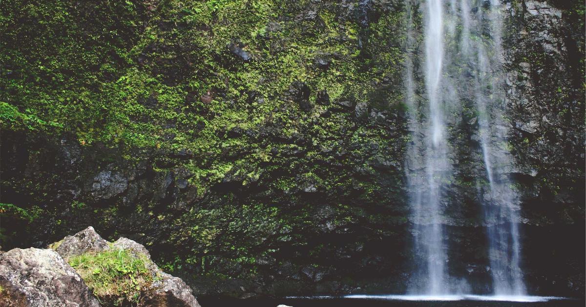 Building a Five-Star Reputation as a Small Business