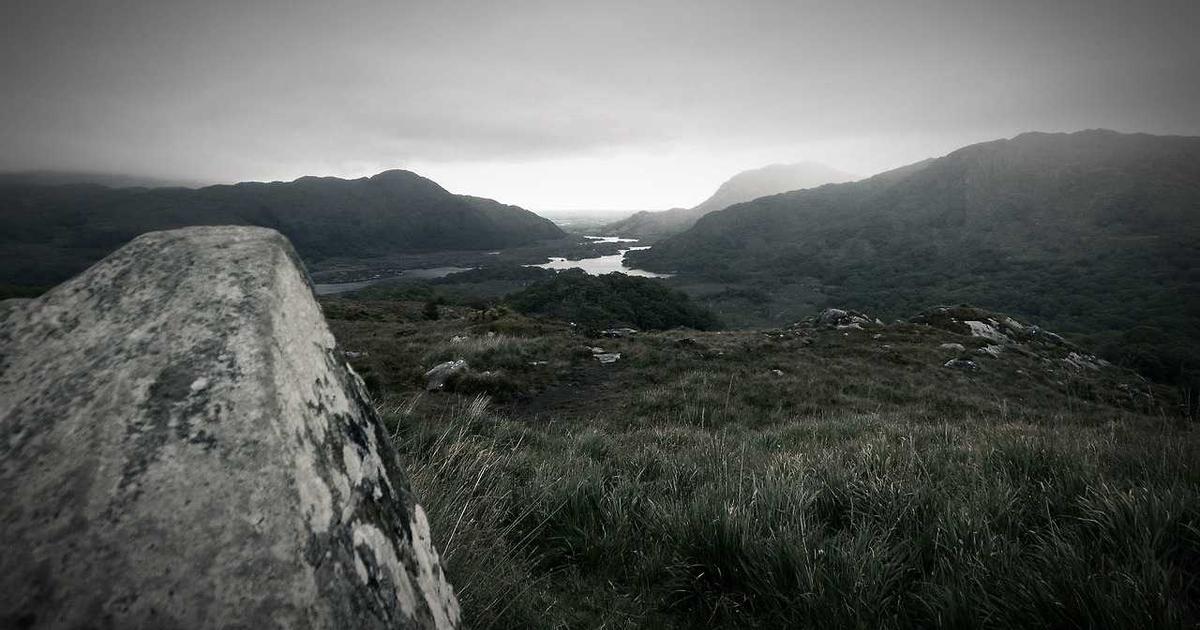 The Real Cost of Ignoring Your Online Reputation